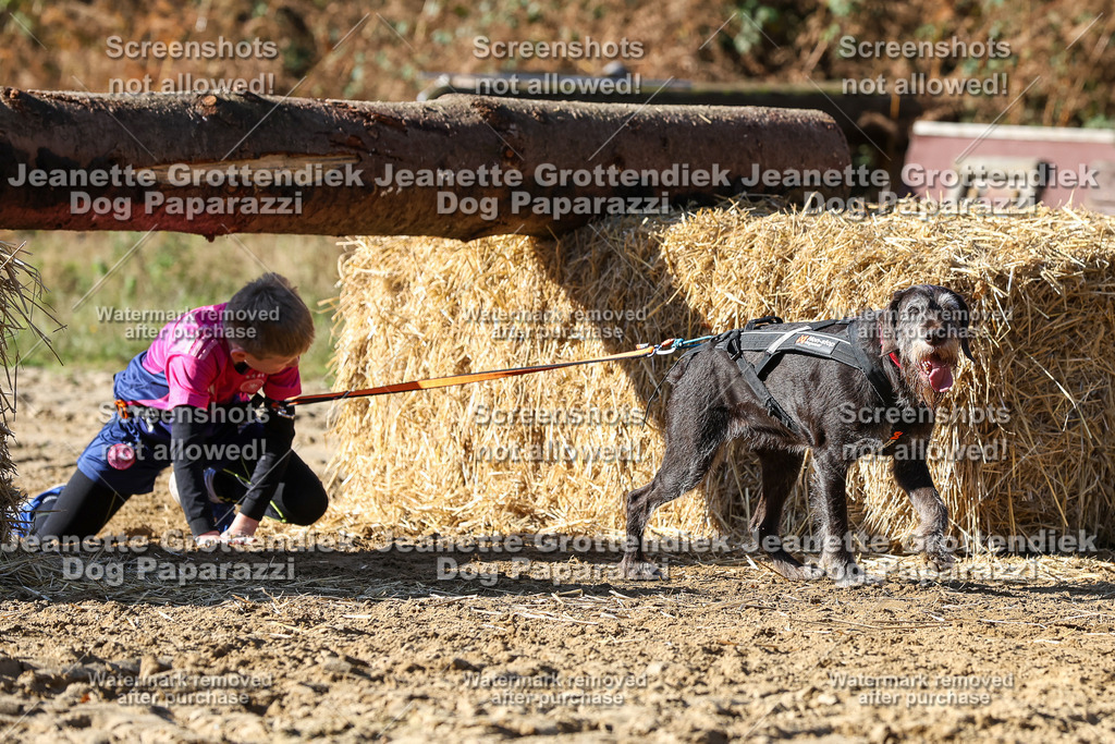 Dog Paparazzi - Strongdog 10-25-2911 | Dog Paparazzi Jeanette Grottendiek Fotografie & Videografie - Realisiert mit Pictrs.com