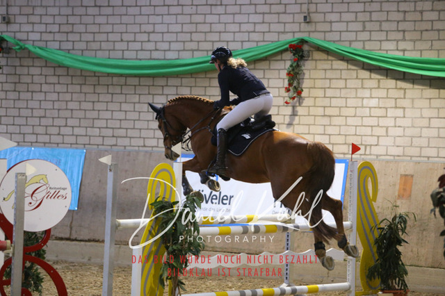 IMG_0758 | Deine Turnierfotos vom Reitturnier online kaufen: Dressur, Springen & Siegerehrung. Professionelle Pferdefotografie aus dem Rheinland – als Download & Print.Alternative: Turnierfotograf für den Pferdesport: Finde deine Fotos von Dressur- und Springturnier