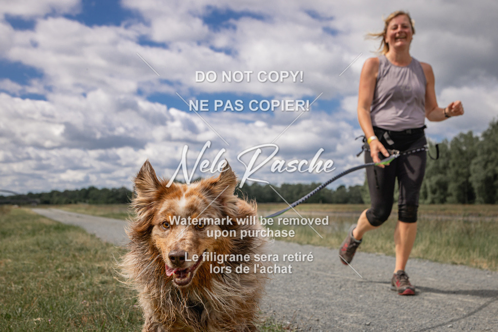 nelerasche_BuHu2026_SaCC1100-1200_96 | nelerasche