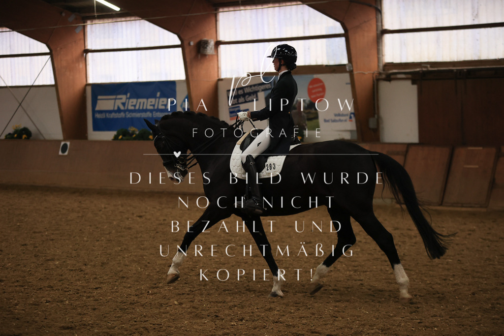 IMGT5923 | pl-fotografie