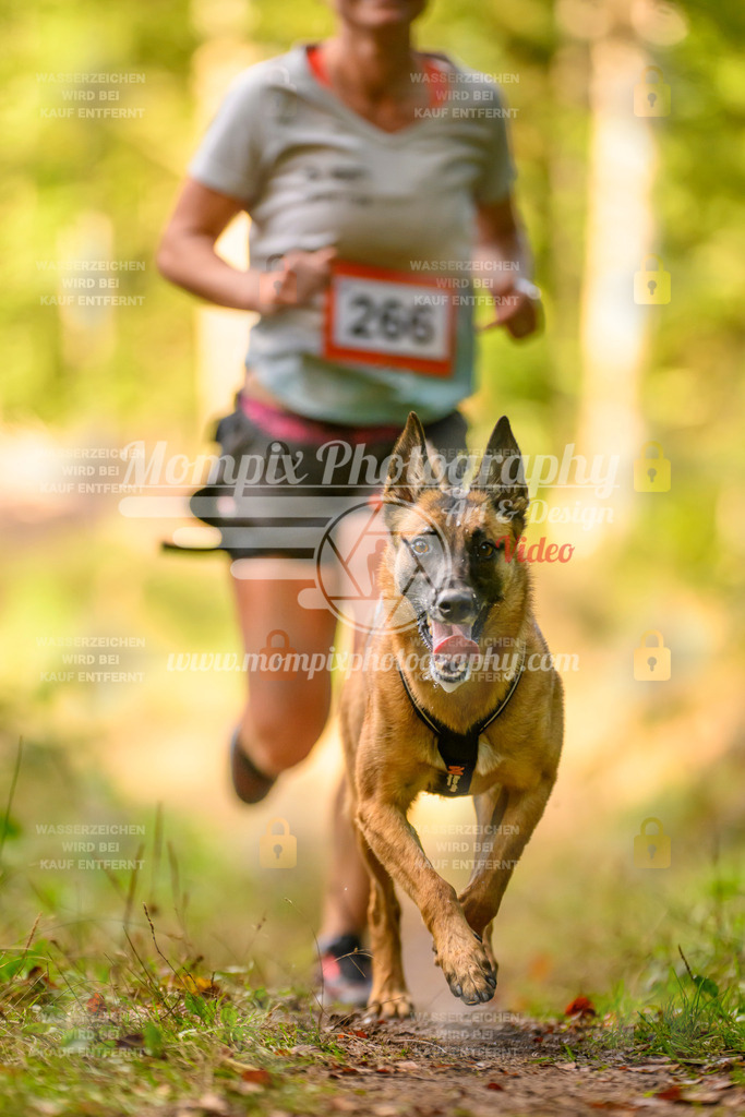 MompixPhotography_Yens2025_B3-230 | PayLife