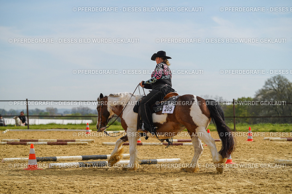 DSC02132 | Pferdegrafie