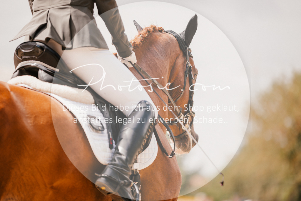 3I6A6059 | Stimmungsvolle Portraits und Reitsportfotografie im Ruhrgebiet und im Münsterland.

Pferdefotografie, Hundefotografie, Tierfotografie, Reportagen, Portraits von Tier und Mensch, Turnierfotografie in Bochum, Recklinghausen, Marl, Haltern am See, Dülmen.. - Realisiert mit Pictrs.com
