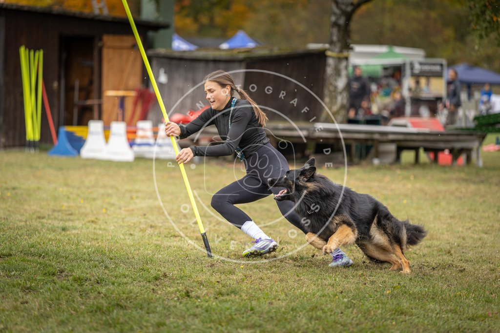 Pfotenfotografie_DV3A7451 | Hundefotografie, Tierfotograf, Pfotenfotografie, Fotoshooting Hund, Hunde Portrait, Hundesport, Hundeportraits, Heideshooting, Hunde, Sportfotograf, Hundefotograf, Turnierhundsport, THS,  - Realisiert mit Pictrs.com