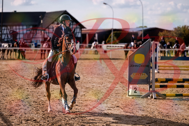 2026_10_03_Siefer-Hof_155735_Z81_77031769 | Professionelle Reitsport-, Turnier- und Eventfotografie von Robert Broda. Galerien mit ausgewählten und bearbeiteten Bildern direkt online ansehen und bestellen.