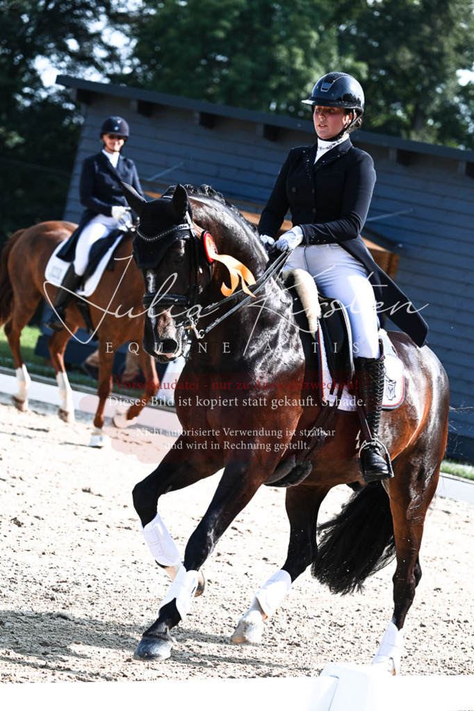 DSC_3434 | Pferde- und Turnierfotografie in Westsachsen. Pferdeportraits, Auftragszeichnungen und intuitive Kunst.