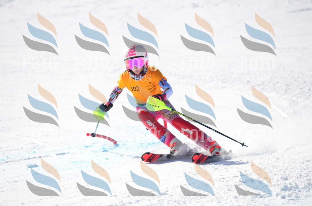 C9471 | holidayphoto