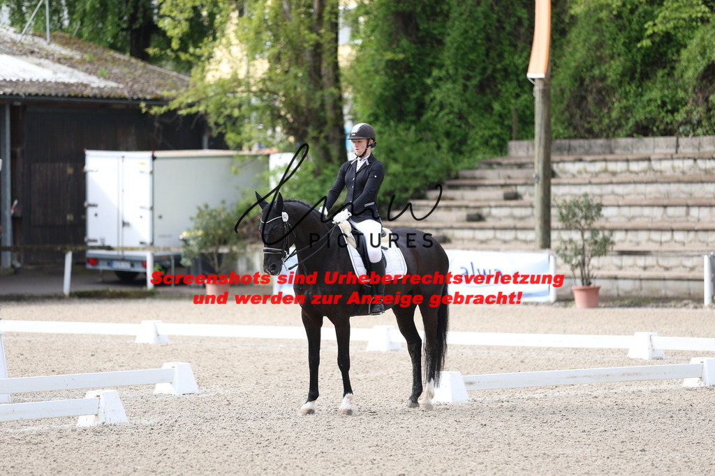 A40A0310 | lmwpictures - Realisiert mit Pictrs.com