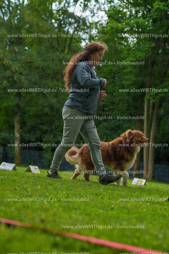 @allesWIRTHgut_Tierfotografie - www.allesWIRTHgut.de - 7R505128 | Professionelle Tierfotografie in Mönchengladbach von Daniel Wirth (allesWIRTHgut). Liebevolle & natürliche Bilder von Hunden & Katzen für unvergessliche Erinnerungen.