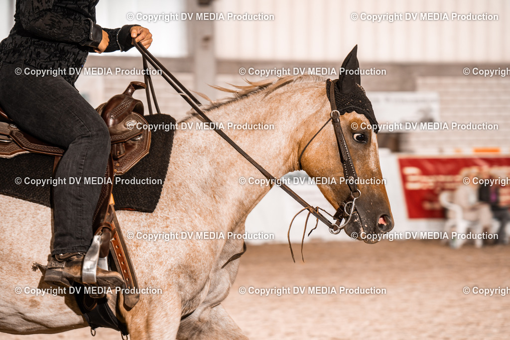 ZH100174 | dv-media-shop - Realisiert mit Pictrs.com