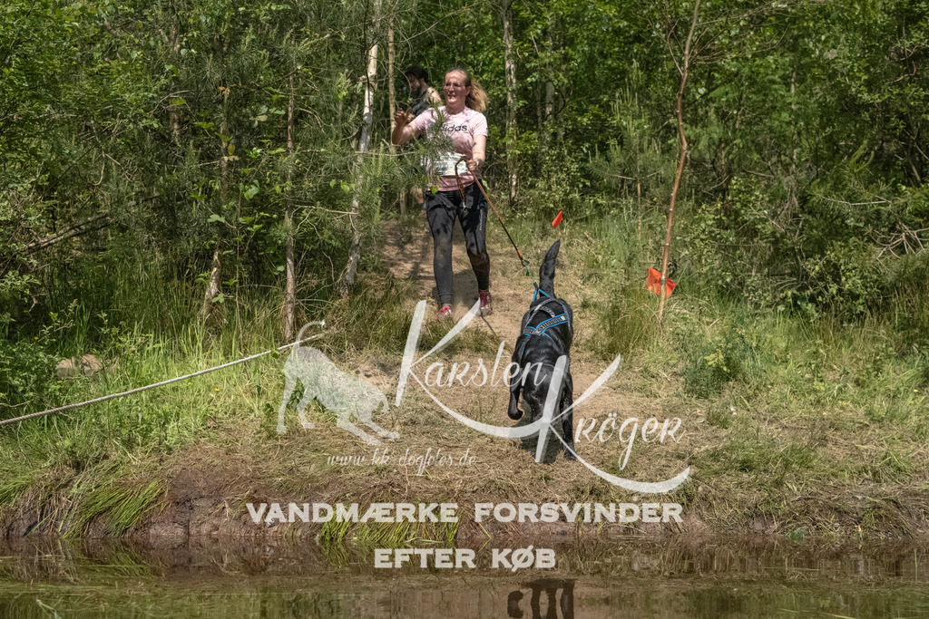 1035DKK990994 | kk-dogfotos