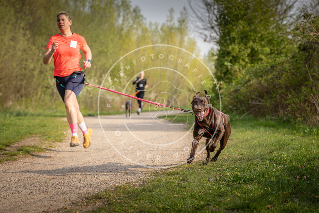 Pfotenfotografie_DV3A4594 | Hundefotografie, Tierfotograf, Pfotenfotografie, Fotoshooting Hund, Hunde Portrait, Hundesport, Hundeportraits, Heideshooting, Hunde, Sportfotograf, Hundefotograf, Turnierhundsport, THS,  - Realisiert mit Pictrs.com