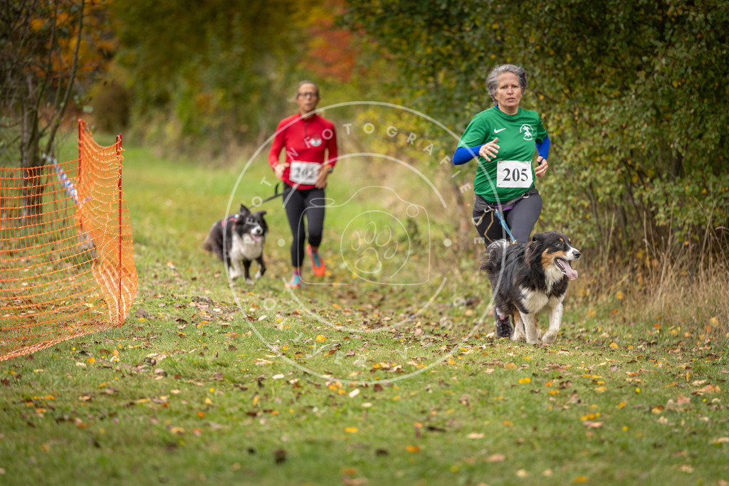 Pfotenfotografie_DV3A4124 | Hundefotografie, Tierfotograf, Pfotenfotografie, Fotoshooting Hund, Hunde Portrait, Hundesport, Hundeportraits, Heideshooting, Hunde, Sportfotograf, Hundefotograf, Turnierhundsport, THS,  - Realisiert mit Pictrs.com