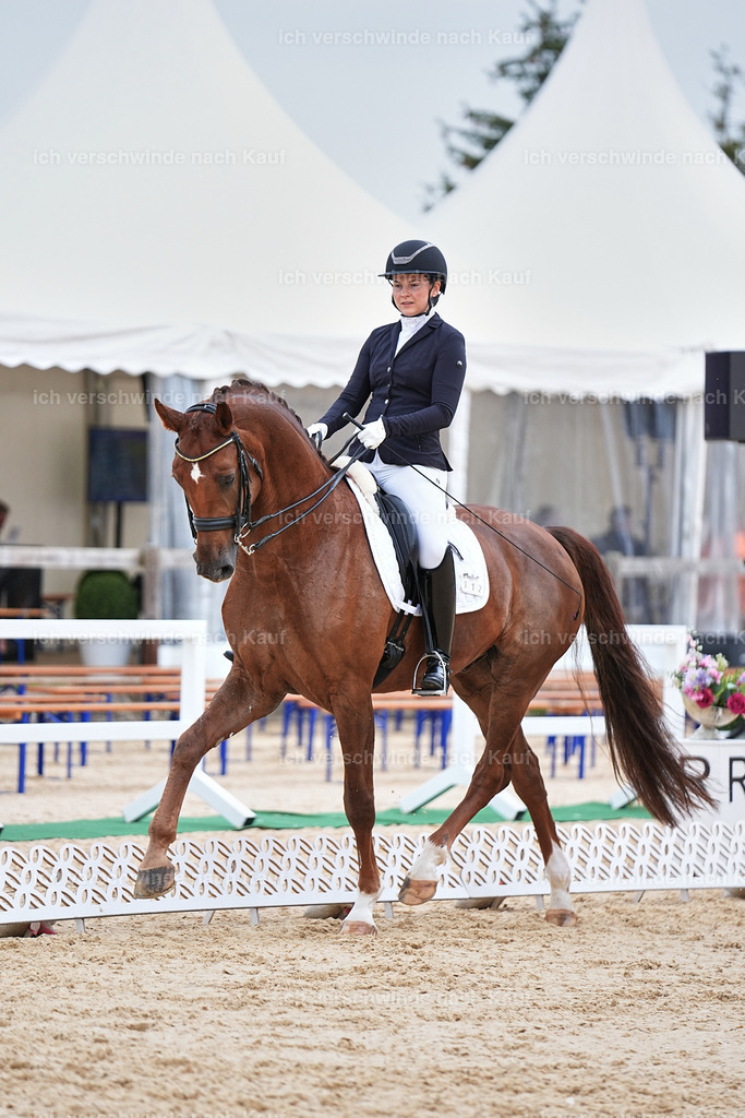 04_1-112-Dressur M__ -Marixx-2735 | working equitationturnier fotograf videograf stoibphotography marixx film working equitation deutschland reitsport turnierfotografie eventfotografie equestrian events