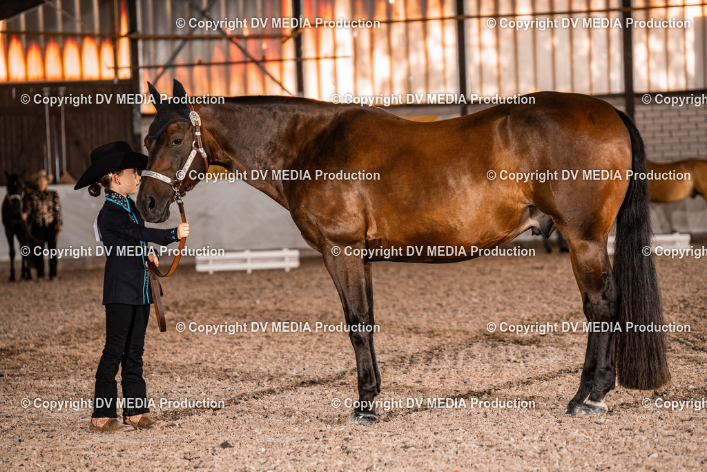 ZH100046 | dv-media-shop - Realisiert mit Pictrs.com