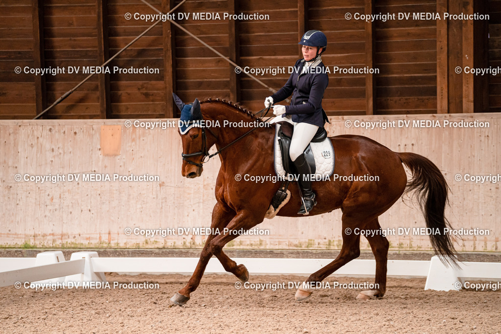 Dressur Tag 2-252 | dv-media-shop - Realisiert mit Pictrs.com