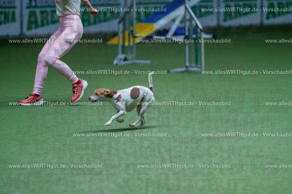 @allesWIRTHgut_Tierfotografie - www.allesWIRTHgut.de - 2604251255-7R503087 | Professionelle Tierfotografie in Mönchengladbach von Daniel Wirth (allesWIRTHgut). Liebevolle & natürliche Bilder von Hunden & Katzen für unvergessliche Erinnerungen.
