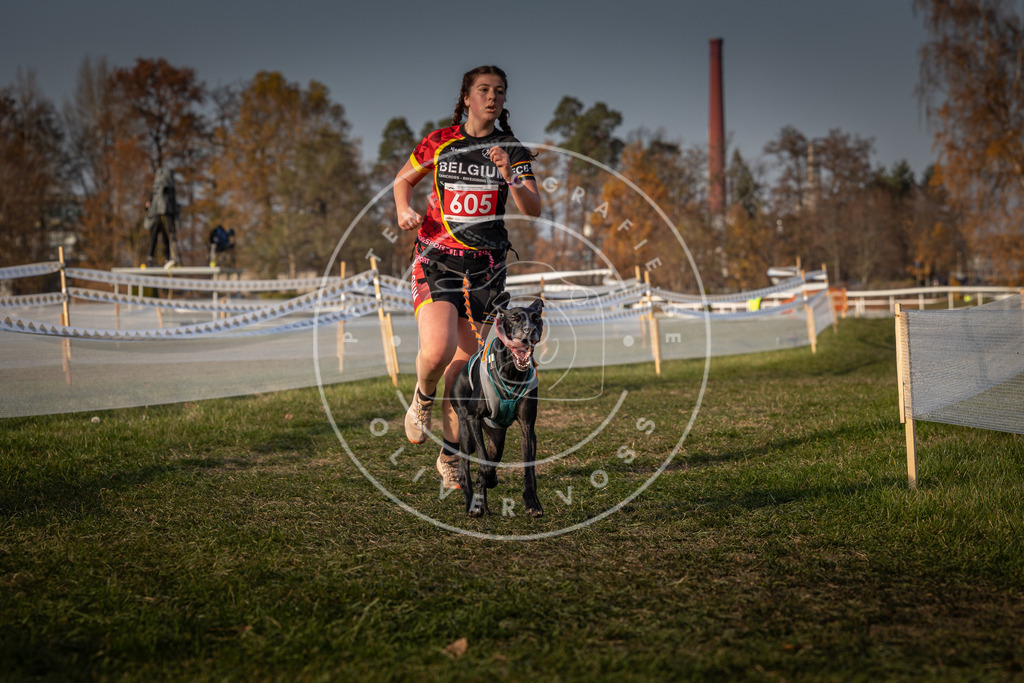 CaniXpix_0L8A0137 | Hundefotografie, Tierfotograf, Pfotenfotografie, Fotoshooting Hund, Hunde Portrait, Hundesport, Hundeportraits, Heideshooting, Hunde, Sportfotograf, Hundefotograf, Turnierhundsport, THS,  - Realisiert mit Pictrs.com