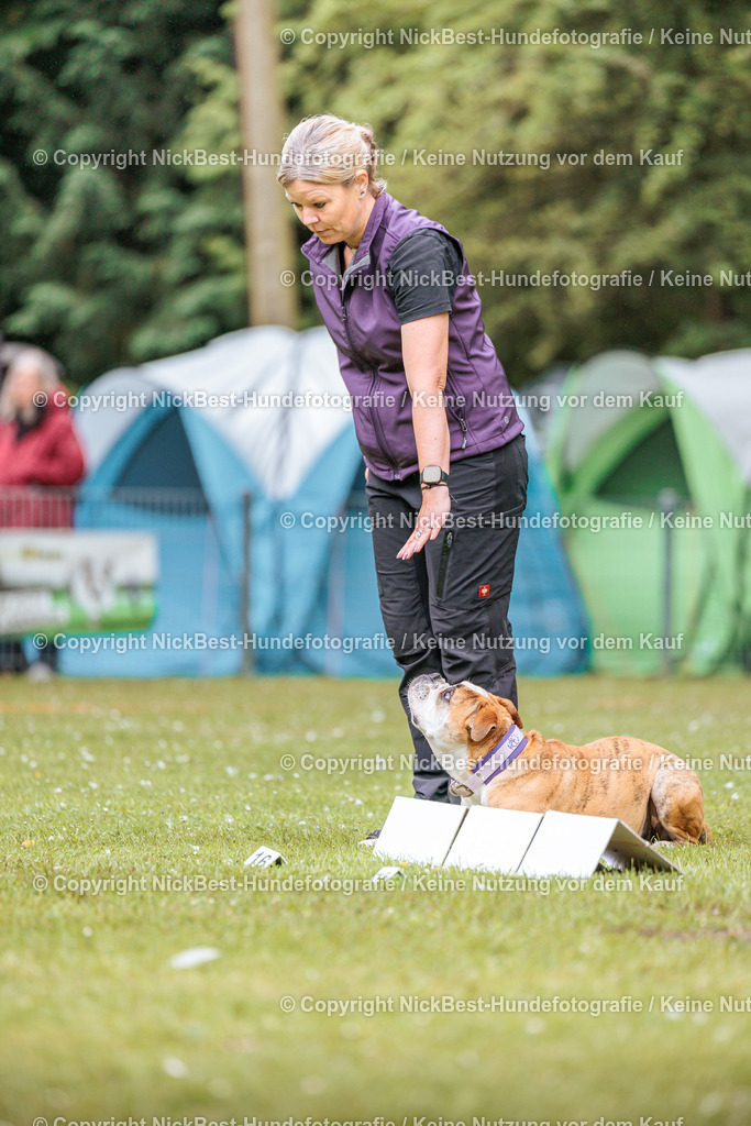 RO-Blumenthal-2026-Nickbest-Hundefotografie-1165 | Dein Hund! Dein Moment! Deine Erinnerungen! Hundefotografie in Bremen Blumenthal. Ich fange die besonderen Momente deines Vierbeiners ein – ob Indoor mit Blitzanlage oder in der freien Natur. Sicher dir dein Moment und dein Termin für eure Erinnerungen.