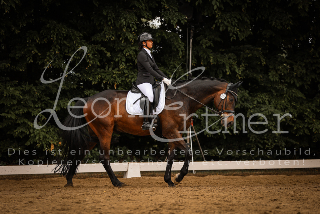 DoDrE00154 | Leoni Ertmer Photography - Realisiert mit Pictrs.com