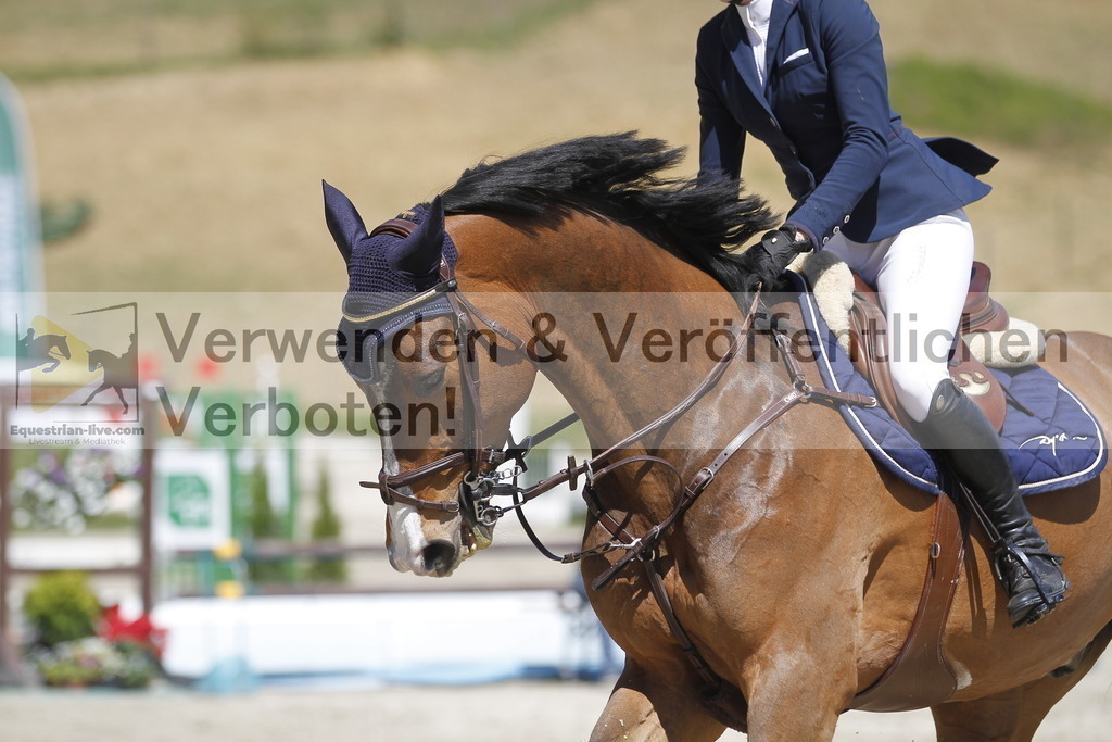 _MG_5696 | equestrian-live-com