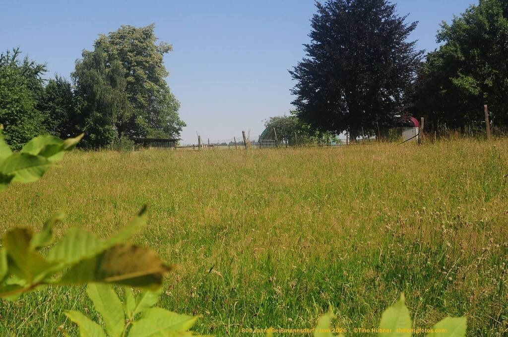 Geißmannsdorf-2026-Ortsbilder-130 | Geißmannsdorf bei Bischofswerda im Sommer 2026. Ein fotografischer Streifzug durch das Dorf Geißmannsdorf, mit Gebäuden, Straßen, Strohpuppen und geschmückten Vorgärten und Grundstücken anlässlich der 800-Jahr-Feier von Geißmannsdorf im Juni 2026 - Realisiert mit Pictrs.com