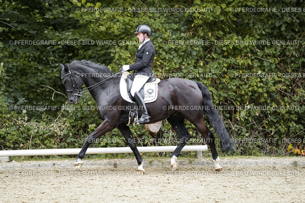 DSC02161 | Pferdegrafie