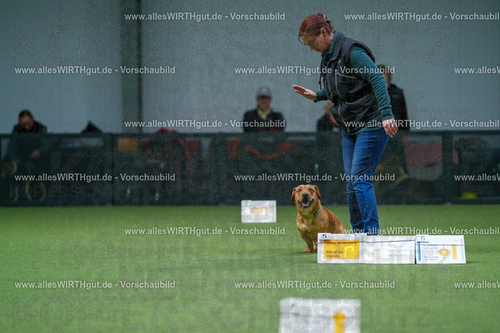 7R507163 | Professionelle Tierfotografie in Mönchengladbach von Daniel Wirth (allesWIRTHgut). Liebevolle & natürliche Bilder von Hunden & Katzen für unvergessliche Erinnerungen.