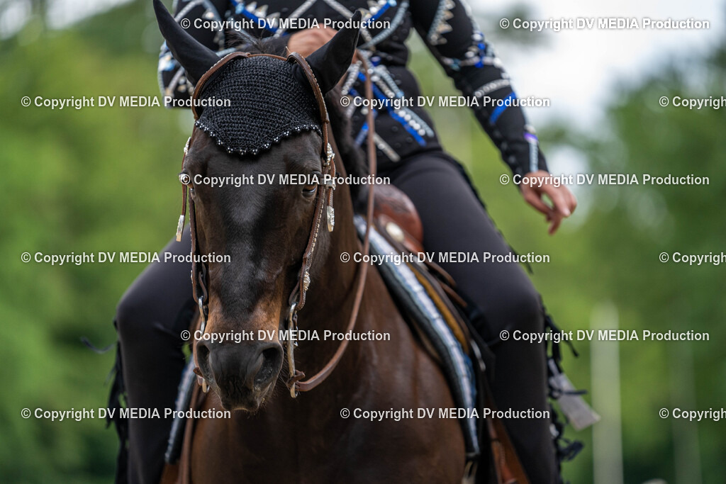 Zeiskam Tag 1-1147 | dv-media-shop - Realisiert mit Pictrs.com