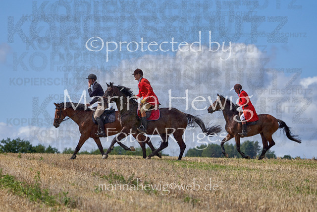 _MCH8410_Marina Hewig | Fotografie, FotoArt, PferdesportArt, Pferdesportfotografie, Landschaftsfotografie, Reisefotografie, Reise, Pferde - Realisiert mit Pictrs.com