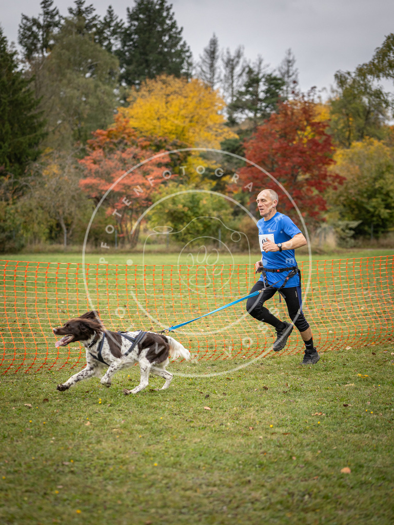 Pfotenfotografie_DV3A3261 | Hundefotografie, Tierfotograf, Pfotenfotografie, Fotoshooting Hund, Hunde Portrait, Hundesport, Hundeportraits, Heideshooting, Hunde, Sportfotograf, Hundefotograf, Turnierhundsport, THS,  - Realisiert mit Pictrs.com