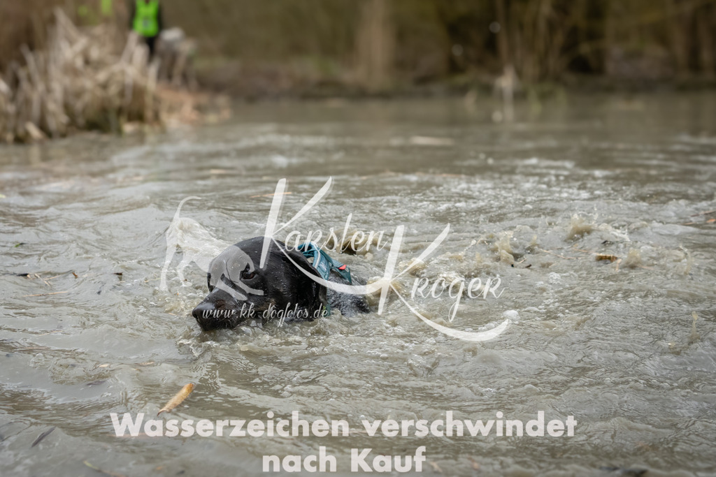 1235_ZZ98362 | kk-dogfotos