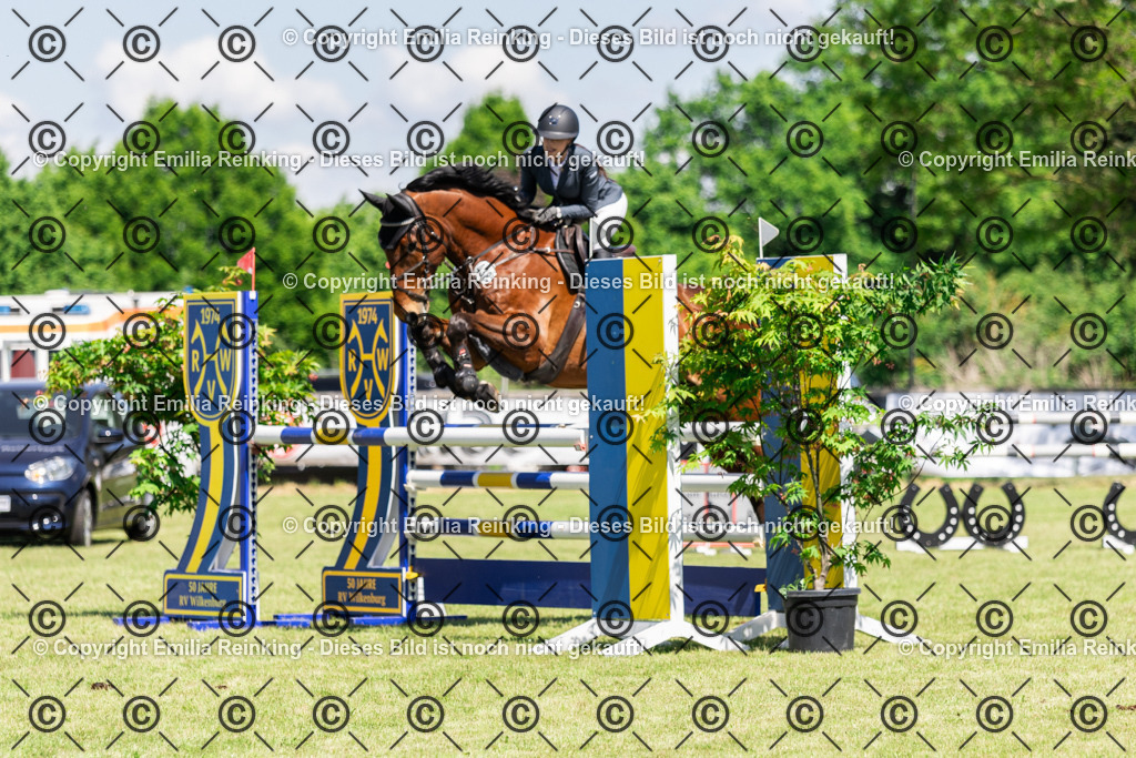 CL5A8684 | Emilia Reinking Fotografie - Realisiert mit Pictrs.com