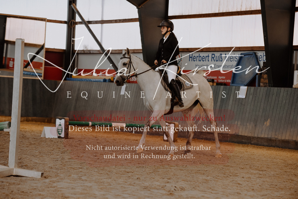 DSC_7424 | Pferde- und Turnierfotografie in Westsachsen. Pferdeportraits, Auftragszeichnungen und intuitive Kunst.