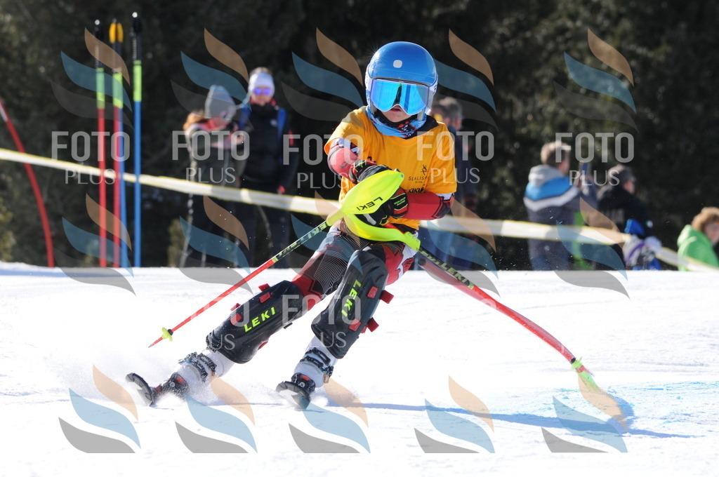 C7123 | holidayphoto