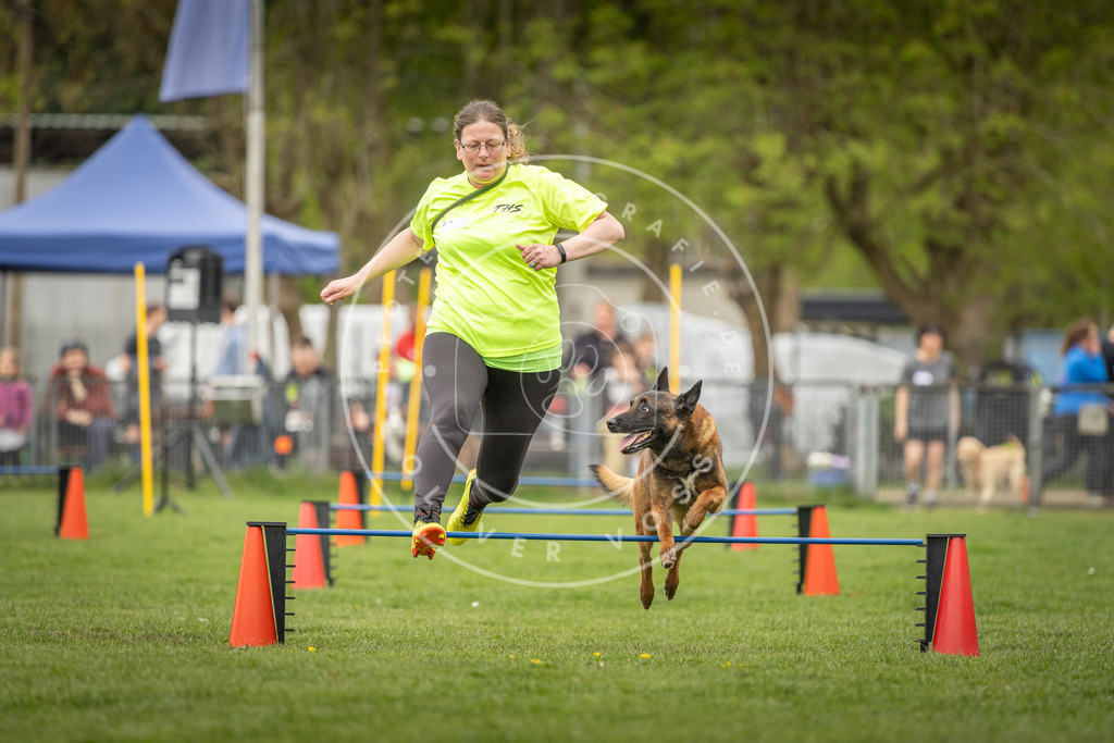 Pfotenfotografie_DV3A0535 | Hundefotografie, Tierfotograf, Pfotenfotografie, Fotoshooting Hund, Hunde Portrait, Hundesport, Hundeportraits, Heideshooting, Hunde, Sportfotograf, Hundefotograf, Turnierhundsport, THS,  - Realisiert mit Pictrs.com