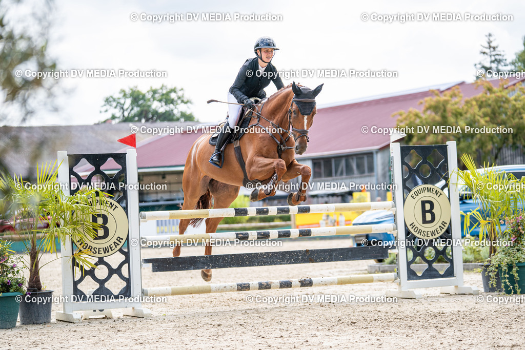 Hessische Tag 1-294 | dv-media-shop - Realisiert mit Pictrs.com