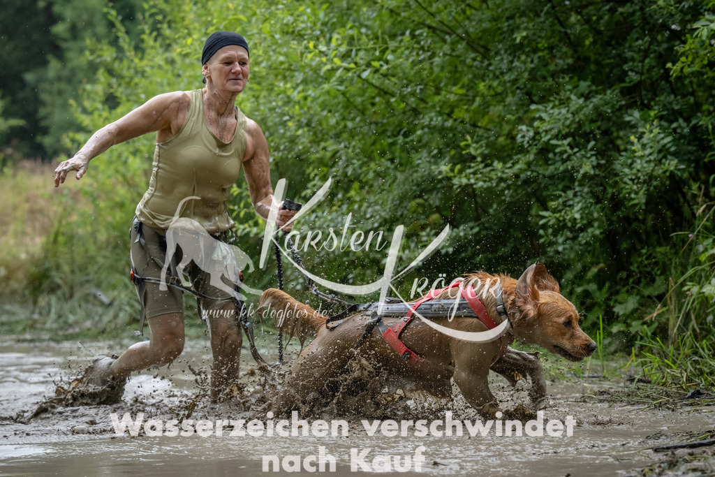 1048_ZZ90946 | kk-dogfotos