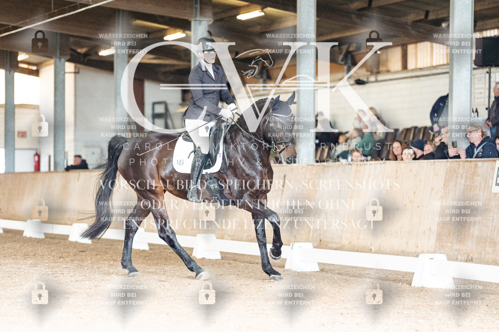 CK902080 | Turnierfotografie Pferdefotografie Trier Rheinland-Pfalz Pferdesport Reitsport Tierfotografie Sportfotografie Pferdevideo Pferdevideografie Equestrianvideography equestrianphotography  - Realisiert mit Pictrs.com