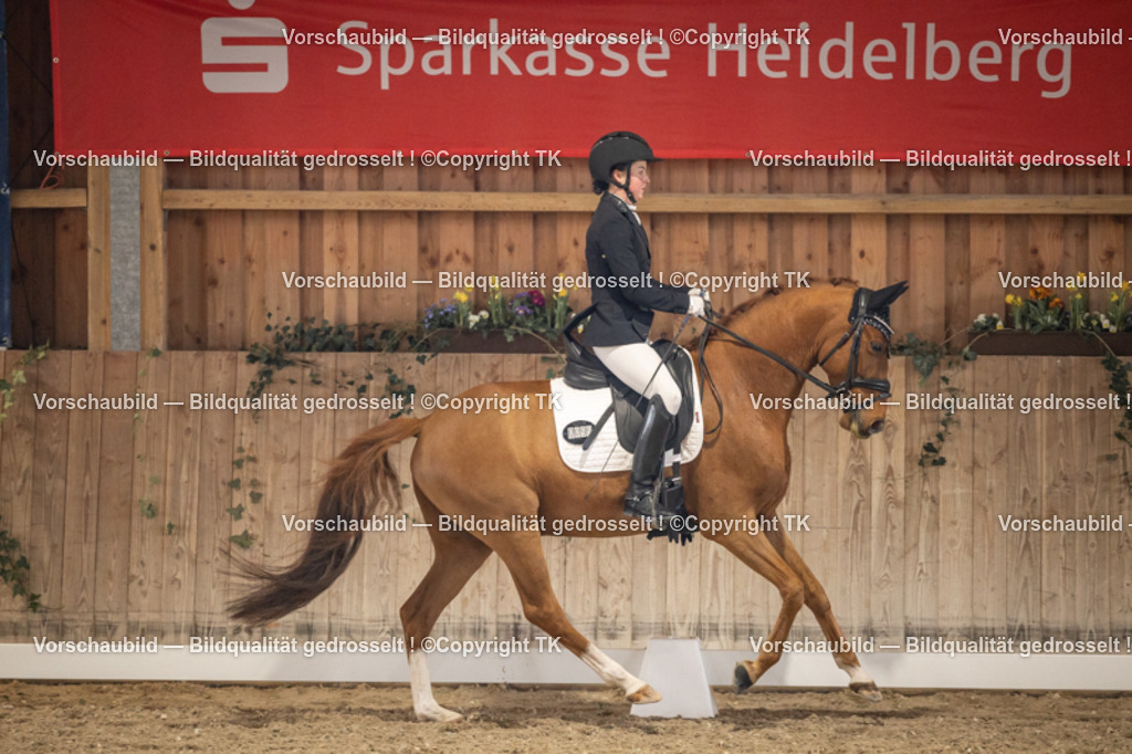 _D5A8686 | Emotionale Pferde- & People-Fotografie rund um Heidelberg, Leimen & Umgebung. Natürliche Fotos von Pferd, Mensch & Familie. Jetzt Termin sichern!