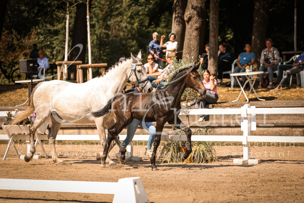 07.DoWBS00005 | Leoni Ertmer Photography - Realisiert mit Pictrs.com