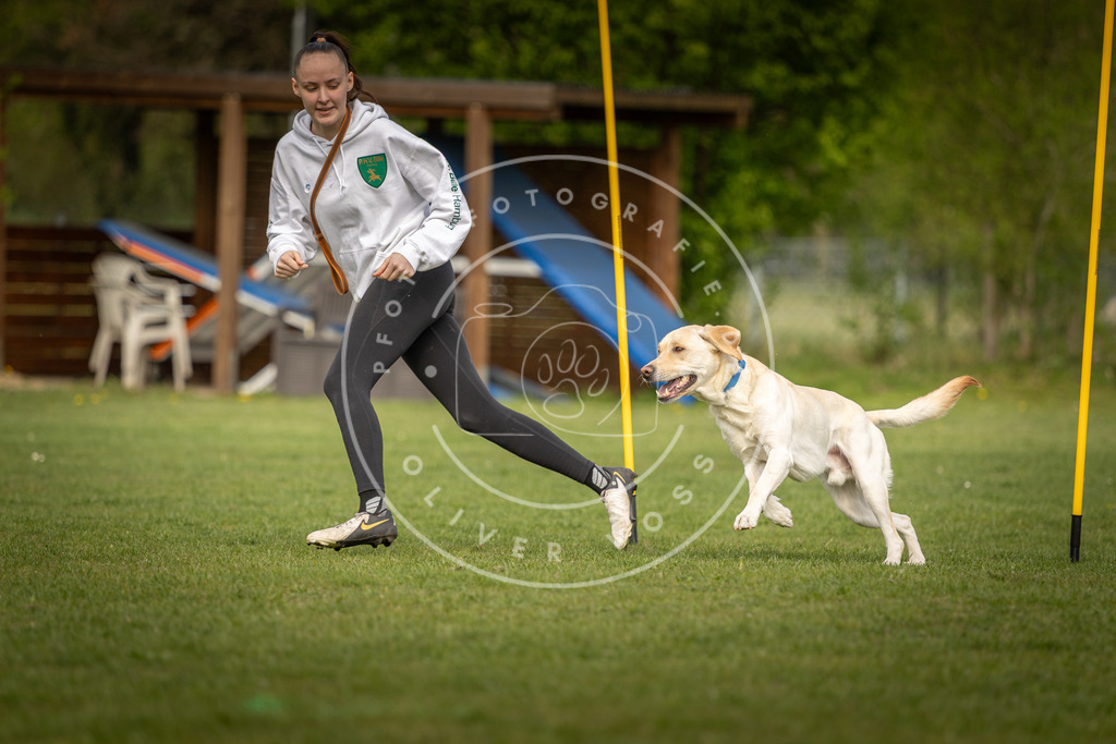 Pfotenfotografie_DV3A5193 | Hundefotografie, Tierfotograf, Pfotenfotografie, Fotoshooting Hund, Hunde Portrait, Hundesport, Hundeportraits, Heideshooting, Hunde, Sportfotograf, Hundefotograf, Turnierhundsport, THS,  - Realisiert mit Pictrs.com