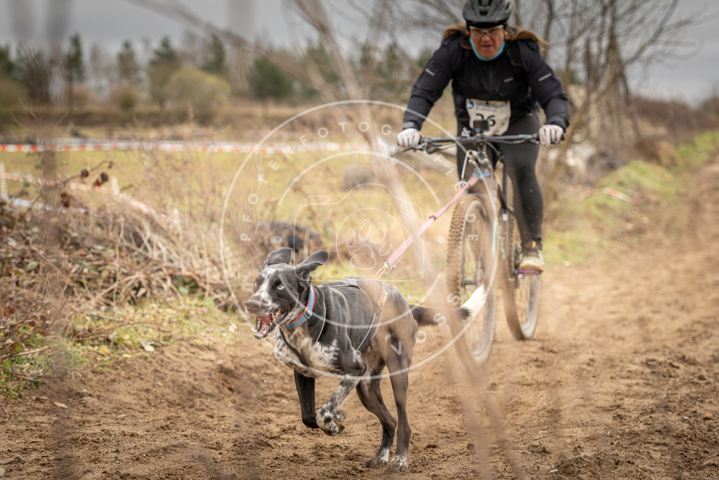 DV3A0748 | Hundefotografie, Tierfotograf, Pfotenfotografie, Fotoshooting Hund, Hunde Portrait, Hundesport, Hundeportraits, Heideshooting, Hunde, Sportfotograf, Hundefotograf, Turnierhundsport, THS,  - Realisiert mit Pictrs.com