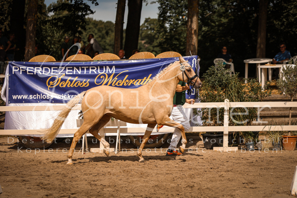 11.So00101 | Leoni Ertmer Photography - Realisiert mit Pictrs.com