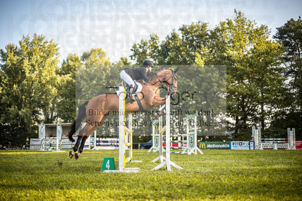 Z63_0159 | Entdecke hochwertige Reitturnierfotos von Foto Oger. Professionell, emotional und authentisch – jetzt Lieblingsmomente im Shop bestellen.Deutschlandweite Turnierfotografie. - Realisiert mit Pictrs.com
