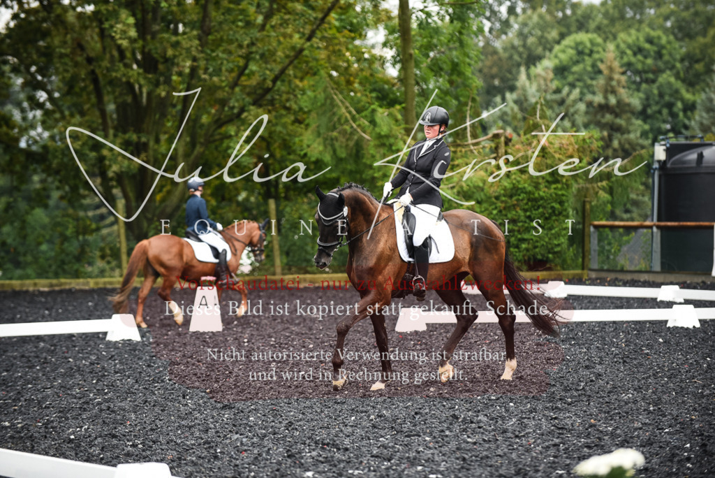 DSC_2819 | Pferde- und Turnierfotografie in Westsachsen. Pferdeportraits, Auftragszeichnungen und intuitive Kunst.