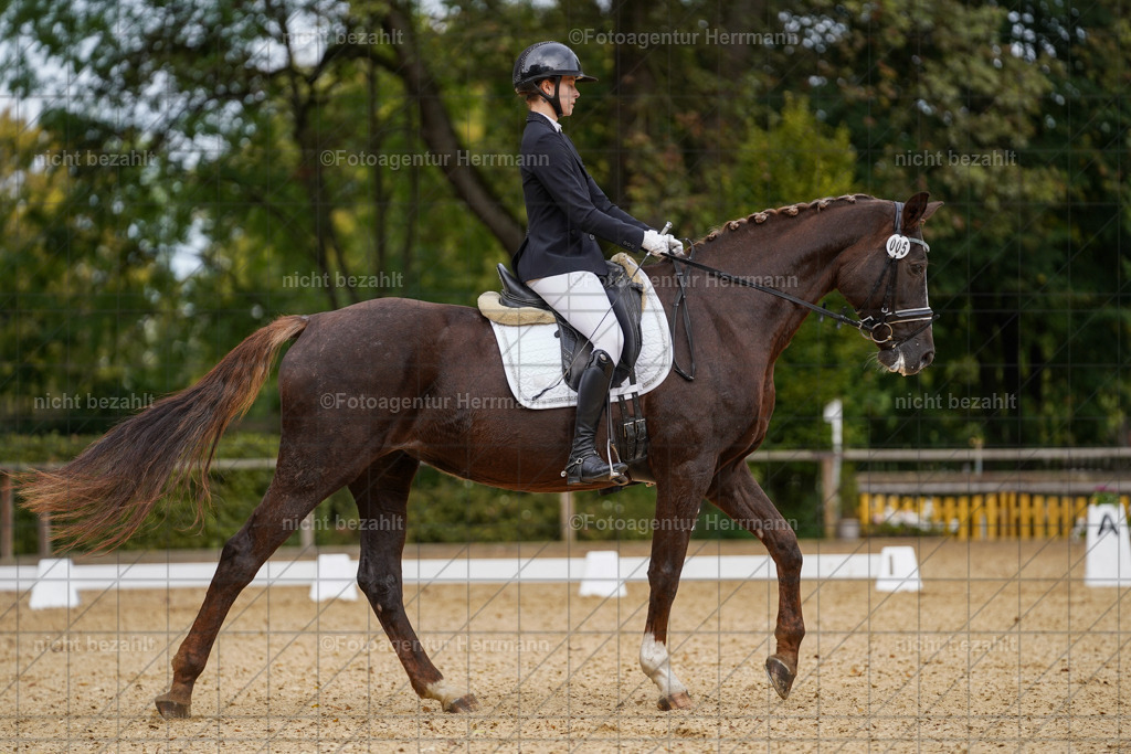 20231007-SN_00406 | Diessen am Ammersee, 2023, Dressur- und Springturnier, Reitsport, Turnierfotografie, Pferdebilder, Reitbilder, Turnierfotografen Bayern, Fotoagentur Herrmann