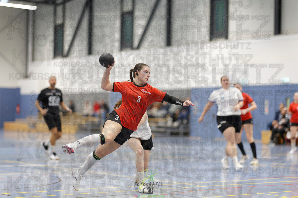 Frauen 2. Bezirksklasse; SG Rechtenbach - HSG Linden II | Frauen 2. Bezirksklasse; SG Rechtenbach - HSG Linden II am 16.11.2025 in Rechtenbach (Sporthalle Rechtenbach)Photo © 2025 - Jörg Heinrich - Realisiert mit Pictrs.com