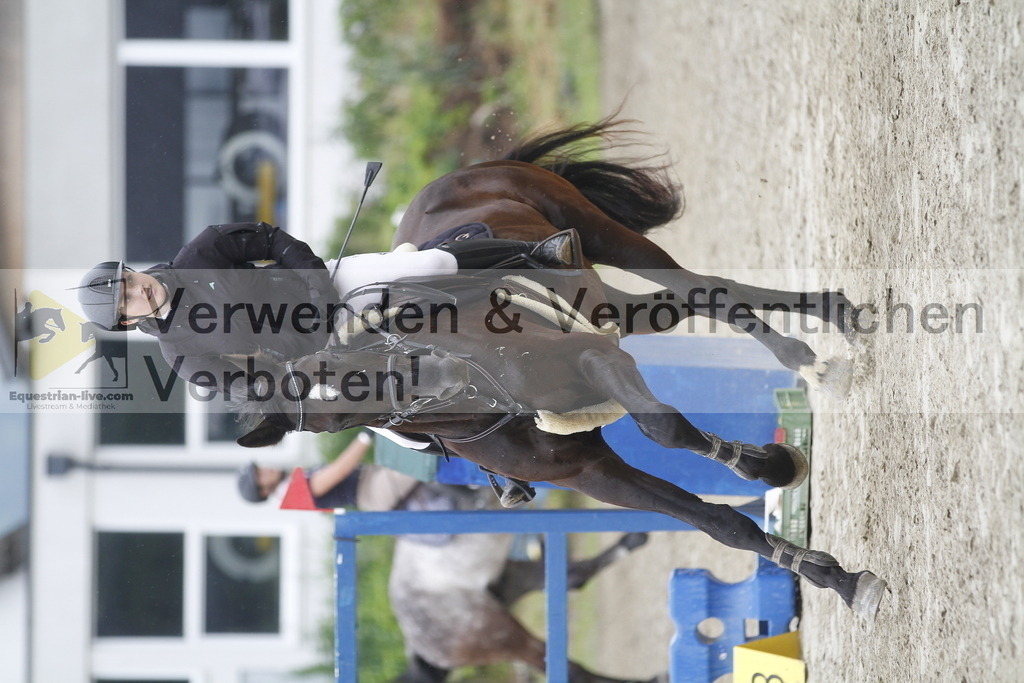 _MG_1031 | equestrian-live-com
