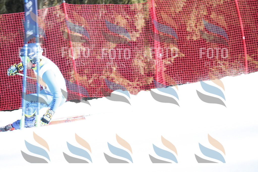 D7317 | holidayphoto